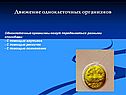 Движение одноклеточных организмов