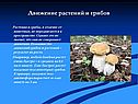 Движение растений и грибов