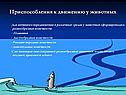 Приспособления к движению у животных