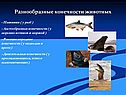 Разнообразные конечности животных