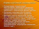 Формы клеточной подвижности