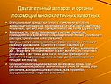 Двигательный аппарат и органы локомоции многоклеточных животных
