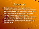 Эволюция