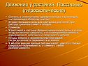 Движения у растений