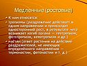Медленные (ростовые)