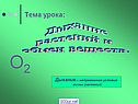 Дыхание растений и обмен веществ