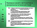 Проверка знаний о фотосинтезе и минеральном питании растений
