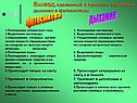 Вывод, сделанный в процессе сравнения дыхания и фотосинтеза