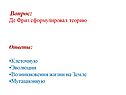 Де Фриз