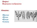 Цветки