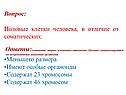 Половые клетки человека