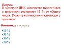 Количество нуклеотидов