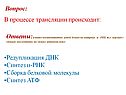 Редупликация ДНК