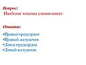 Толстые стенки