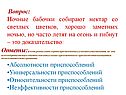 Ночные бабочки
