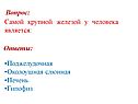 Печень