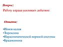 Действие