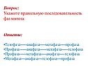 Укажите правильную последовательность фаз митоза