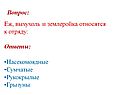 Выхухоль