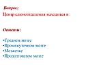 Центр слюноотделения