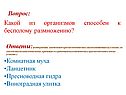 Комнатная муха