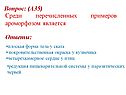 Плоская форма тела