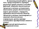 Проверка различных видов умений и способов действий