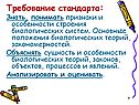 Требование стандарта