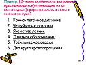 Кожно-легочное дыхание