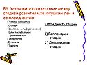 Установите соответствие между стадией развития мха кукушкин лен и ее плоидностью