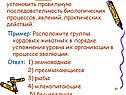 В задании В7-В8 необходимо установить правильную последовательность