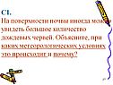 Большое количество дождевых червей