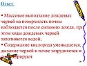 Массовое выползание дождевых червей на поверхность почвы