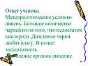 Метеорологические условия-ливень