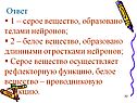 Серое вещество осуществляет рефлекторную функцию