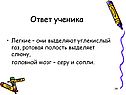Легкие – они выделяют углекислый газ, ротовая полость выделяет слюну