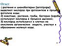 Растения и цианобактерии