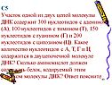 Участок одной из двух цепей молекулы ДНК содержит 300 нуклеотидов