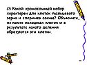 Какой хромосомный набор характерен для клеток пыльцевого зерна
