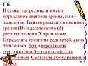В семье, где родители имеют нормальное цветовое зрение, сын – дальтоник
