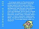 Ассортимент продуктов