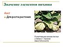 Значение элементов питания