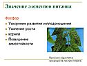Значение элементов питания