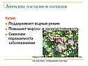 Значение элементов питания