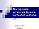 Эндокринная регуляция функций организма человека