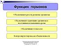 Функции гормонов