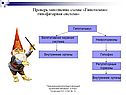Эндокринная система человека