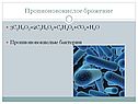 Пропионовокислое брожение