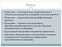 Вывод: