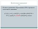 Клеточное дыхание